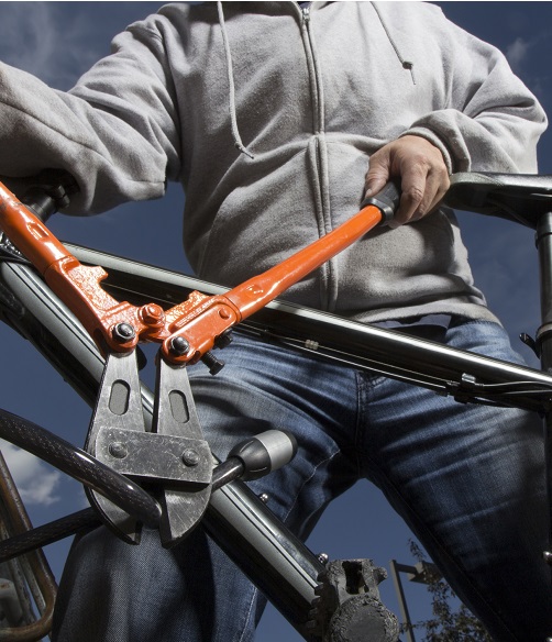 Auto Theft in Hamilton